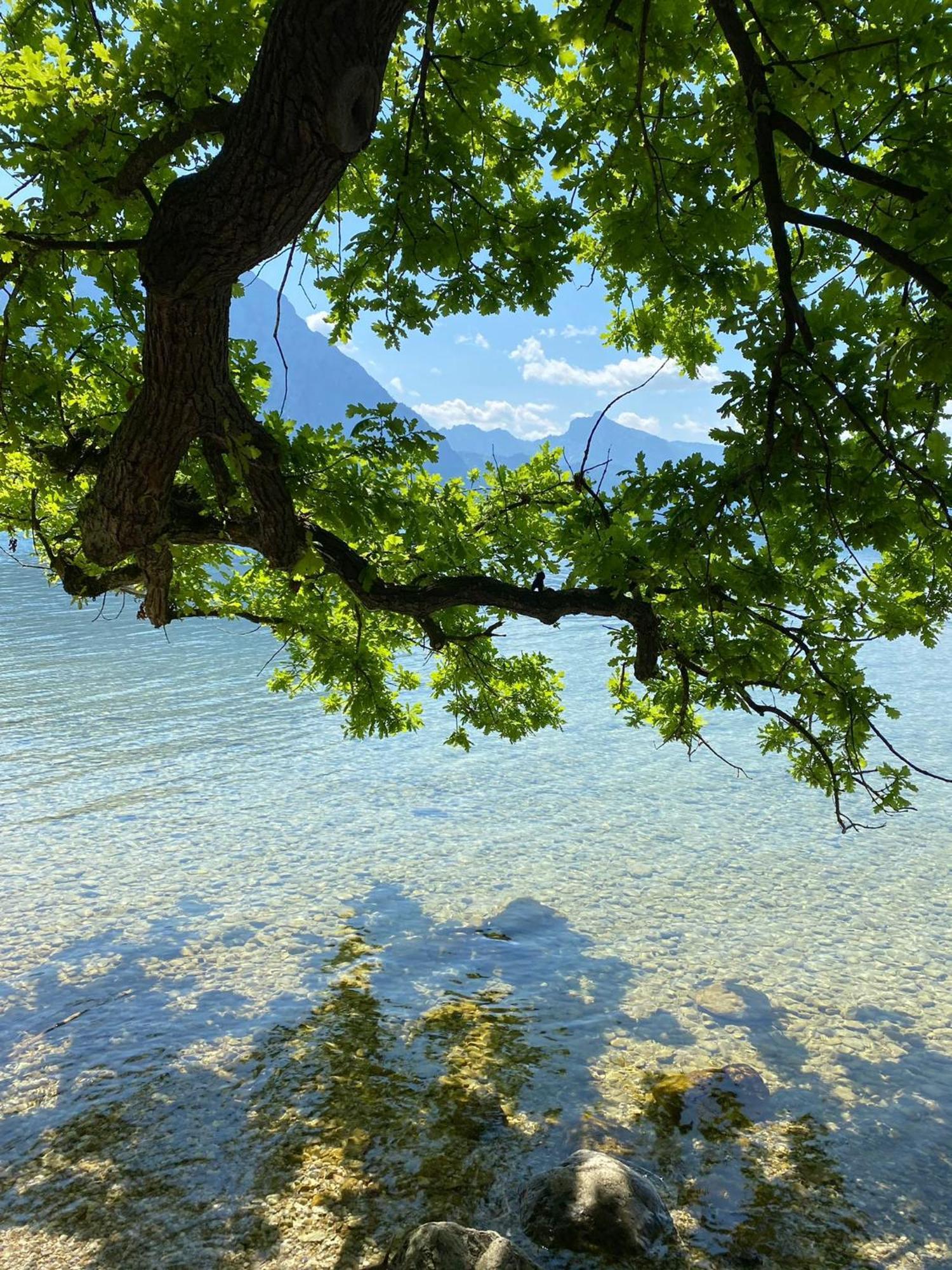 Seepanorama An Der Esplanade 1 Гмунден Экстерьер фото